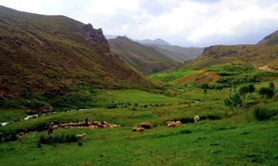 سرعین-دره-گلستان-495950