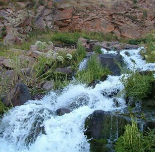 سرعین-چشمه-و-آبشار-گورگور-آلوارس-495978