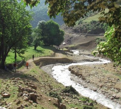 روستای ناو