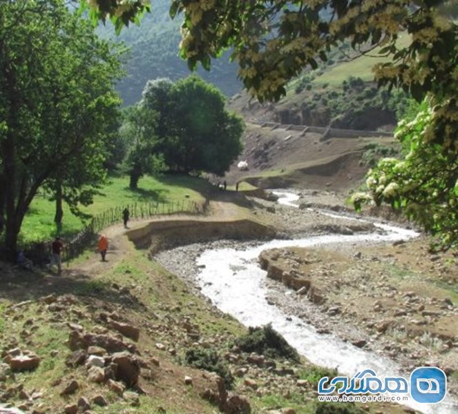 روستای ناو