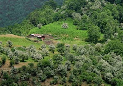 آمل-روستای-سنگچال-496287