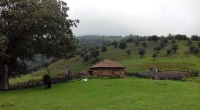 آمل-روستای-سنگچال-496289