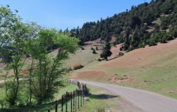 روستای رشی