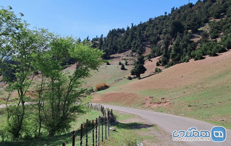 روستای رشی
