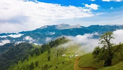 ییلاق اسپی دشت