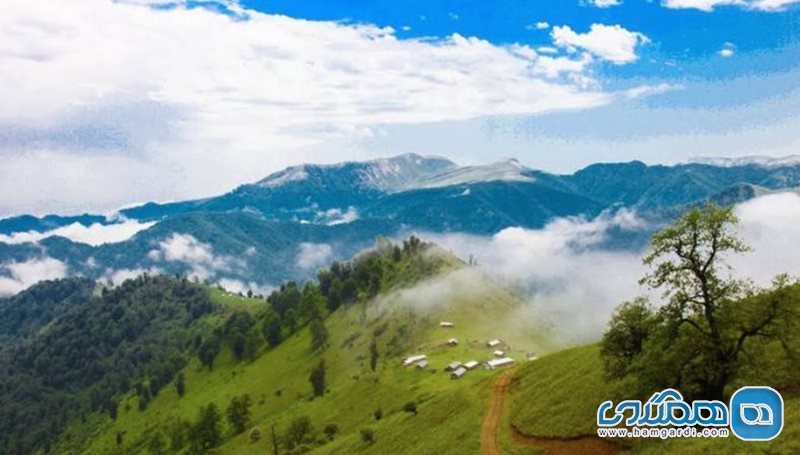 ییلاق اسپی دشت