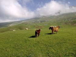 ییلاق خشکه دریا