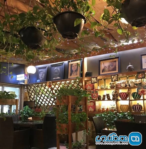 کافه بام سی سی کام قم