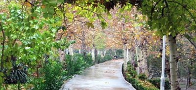 مشهد-پارک-بابا-قدرت-مشهد-517251