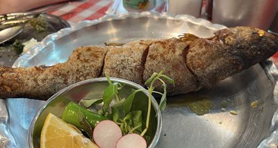 نور-رستوران-چوچاق-نور-517734