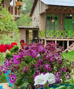 گرگان-بوم-گردی-میرزا-شموشک-517949