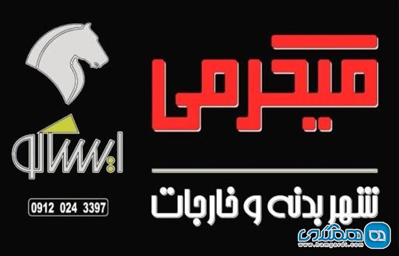 فروشگاه قطعات خودرو میکرمی