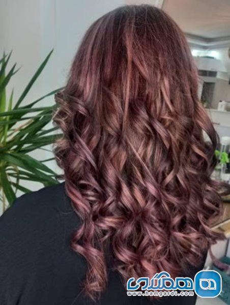 مرکز تخصصی رنگ و لایت بهناز مرادی