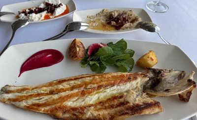 استانبول-رستوران-Mavi-Balik-استانبول-518591