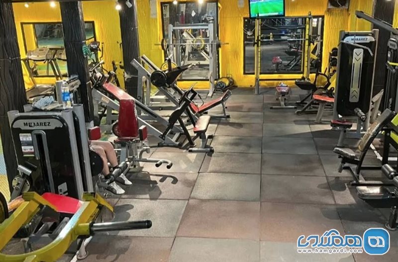 باشگاه بدنسازی ولیعصر شیراز