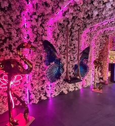 کافه رستوران فلامینگو