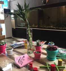 مجموعه اسکیپ می