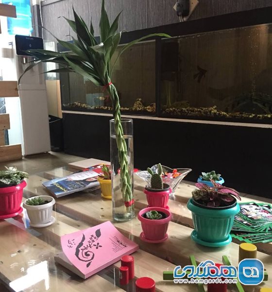 مجموعه اسکیپ می