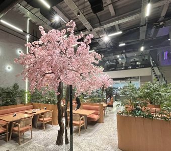 تهران-کافه-رستوران-رستیک-519125