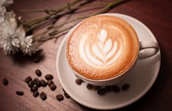 کافه دورهمی گیشا