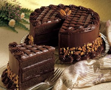 تهران-کافه-دورهمی-گیشا-519142