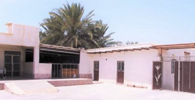 قشم-اقامتگاه-بومگردی-دریای-جنوب-قشم-519179