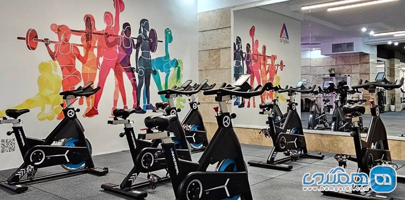 باشگاه ورزشی آسنا