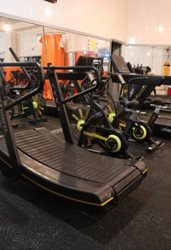 باشگاه ورزشی یاوران قم