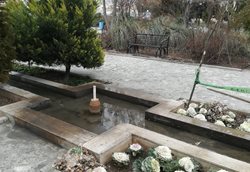 بوستان بانوان نرگس قم