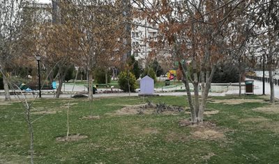 قم-بوستان-بانوان-نرگس-قم-519293