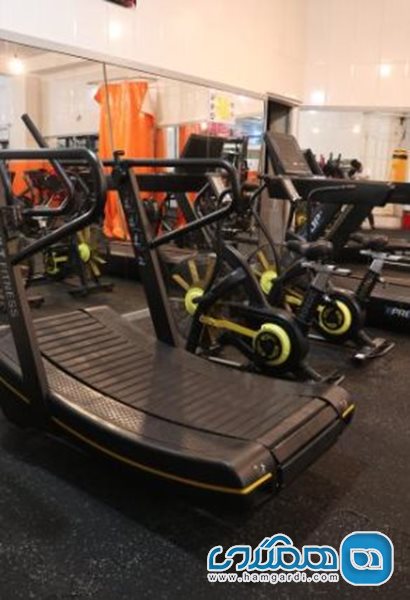 باشگاه ورزشی یاوران قم