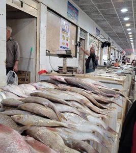 گناوه-بازار-ماهی-فروشان-بندر-گناوه-519400