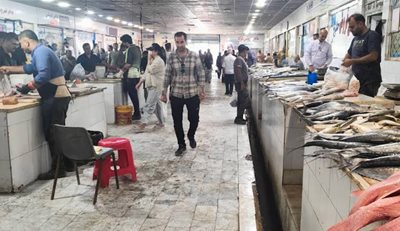 گناوه-بازار-ماهی-فروشان-بندر-گناوه-519398