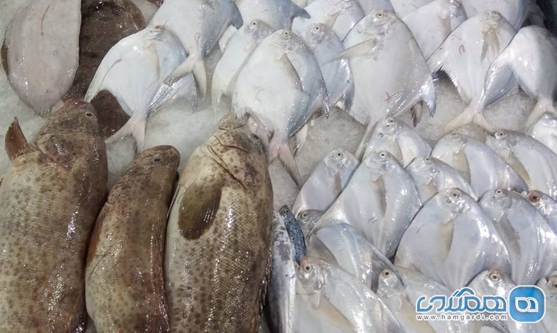 بازار ماهی فروشان بندر گناوه