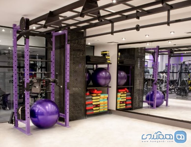 باشگاه ورزشی الیت