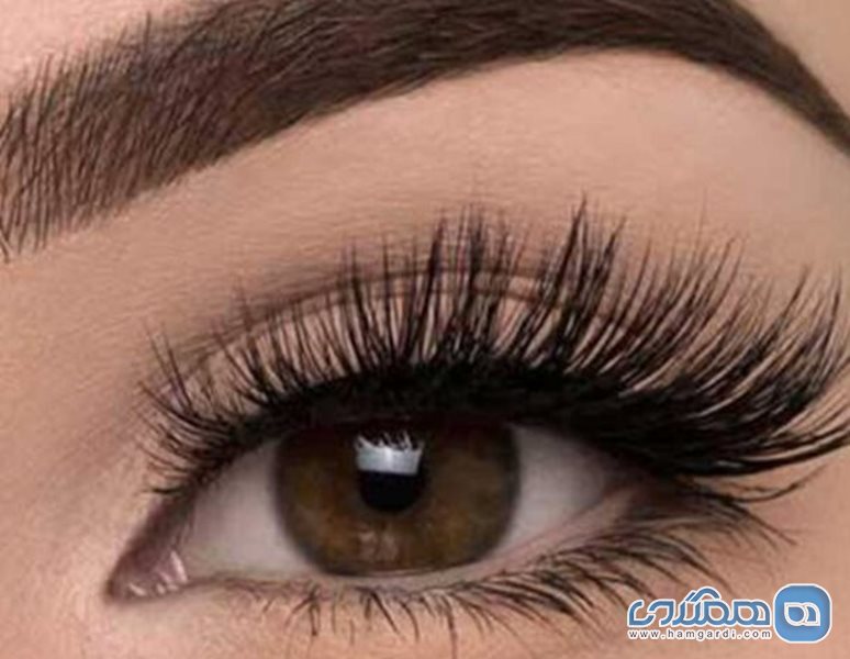 سالن زیبایی مریم آرا شیراز