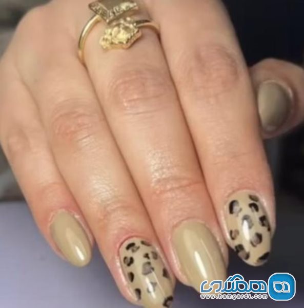 سالن زیبایی زمرد شیراز