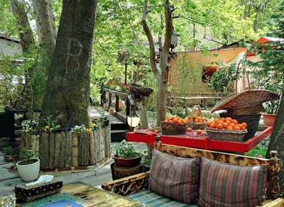 تهران-رستوران-البرز-درکه-519733