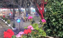 رستوران باغ خرمالو پاکدشت