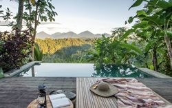 هتل بواهن، یک بانیان تری اسکیپ اوبود