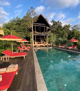 اوبود-هتل-بواهن-یک-بانیان-تری-اسکیپ-اوبود-520027