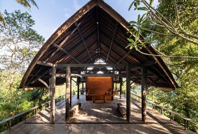 اوبود-هتل-بواهن-یک-بانیان-تری-اسکیپ-اوبود-520031