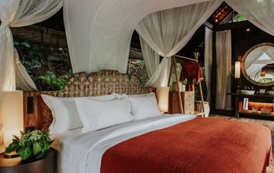 اوبود-هتل-بواهن-یک-بانیان-تری-اسکیپ-اوبود-520029