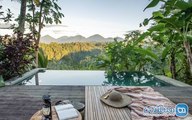 هتل بواهن، یک بانیان تری اسکیپ اوبود