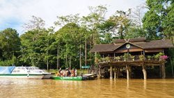 اقامتگاه سوکا رینفارست لاج