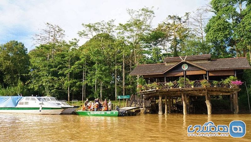 اقامتگاه سوکا رینفارست لاج