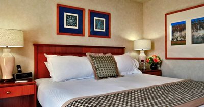 سیدنی-هتل-برایتون-سیدنی-520731