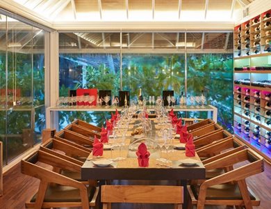 ماله-هتل-Sun-Siyam-vilu-reef-521057