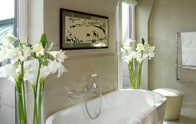 وین-هتل-Hotel-Sacher-Wien-521607