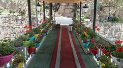 رستوران کوهستان میگون